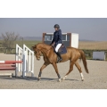 pro-series-diagonal-padded-jacket (8).jpg
