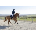 pro-series-diagonal-padded-jacket.jpg