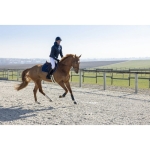 pro-series-diagonal-padded-jacket.jpg