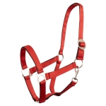 Kantar Premiere "Soft Economic"