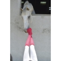 Skarpety Equi Theme Resille