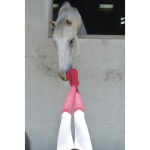 Skarpety Equi Theme Resille