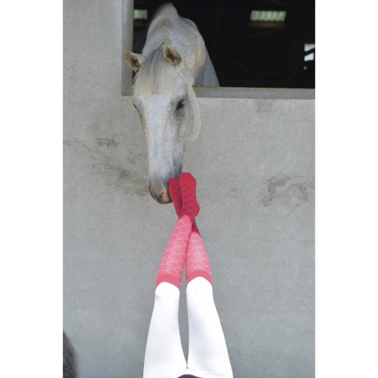 Skarpety Equi Theme Resille