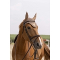 equitheme-oslo-fly-hood (4).jpg