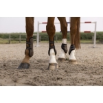 equitheme-oslo-fetlock-and-tendon-boots (21).jpg