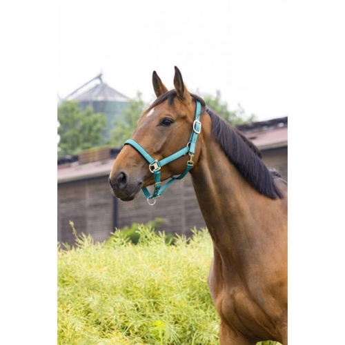Kantar Equi Theme Air