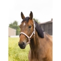 Kantar Equi Theme Air