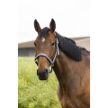 equitheme-air-halter (15).jpg