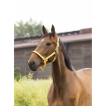 equitheme-air-halter (13).jpg