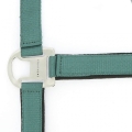 equitheme-air-halter (12).jpg