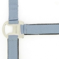 equitheme-air-halter (11).jpg