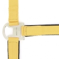 equitheme-air-halter (7).jpg