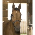 Norton-Kantar-Reflective