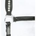Norton-kantar-skorzany-Pro-Strass
