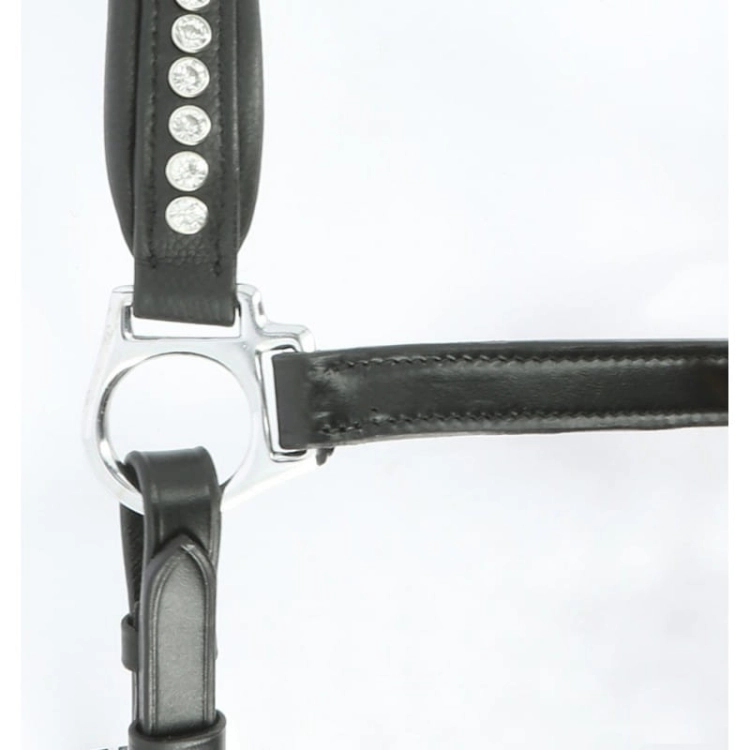Norton-kantar-skorzany-Pro-Strass