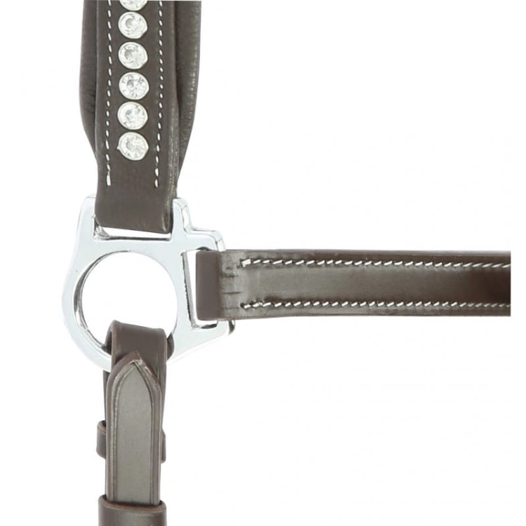 Norton-kantar-skorzany-Pro-Strass