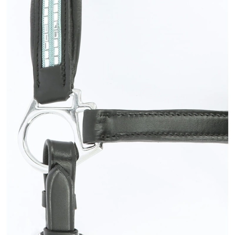 Norton-kantar-skorzany-Pro-Diademe