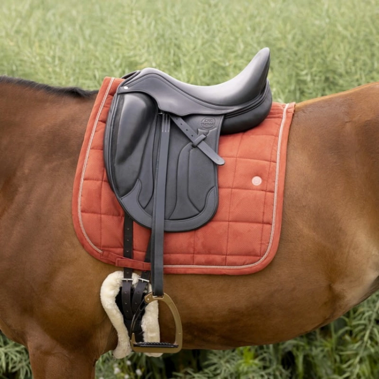 equitheme-suede-saddle-pad (32).jpg
