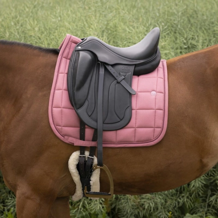 equitheme-suede-saddle-pad (28).jpg