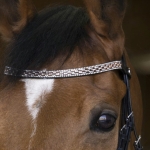 Norton-oglowie-munsztukowe-Norton-Pro-Princesse