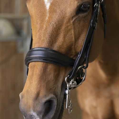 Norton-oglowie-munsztukowe-Pro-Diademe