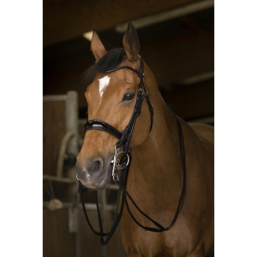 Norton-wodze-Pro-Bridle-Round