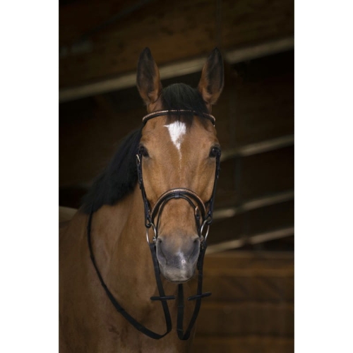 Norton-wodze-parciane-Pro-Rosegold
