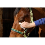 Chusteczki-do-oczu-i-chrap-Ravene-Easy-Shine-Wipes