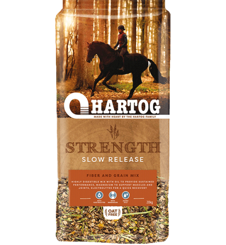 hartog-energy-special.png