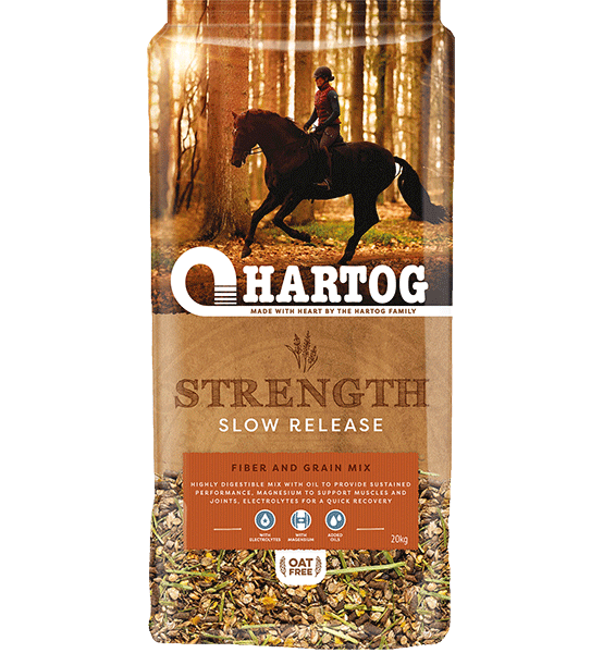 hartog-energy-special.png