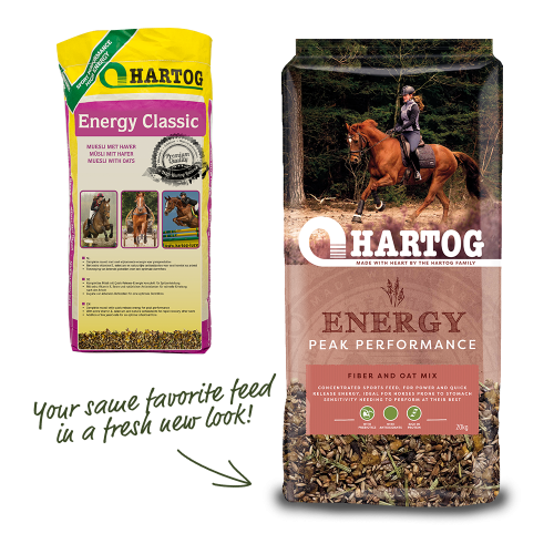 ENERGY-PACK-NIEUW.webp