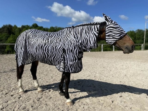 START-derka-siatkowa-Zebra