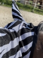 START-maska-przeciw-owadom-Zebra