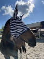 START-maska-przeciw-owadom-Zebra
