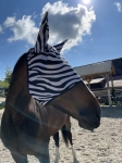 Maska przeciw owadom START "Zebra"