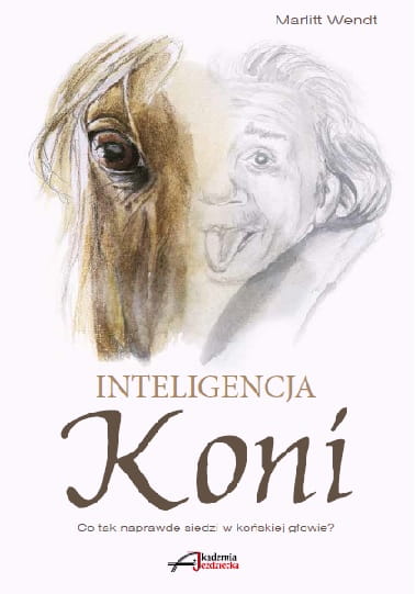 inteligencja.jpg