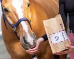 Ciastka Końska Cukierenka "Horse Treats" Jabłko z cynamonem 150 g