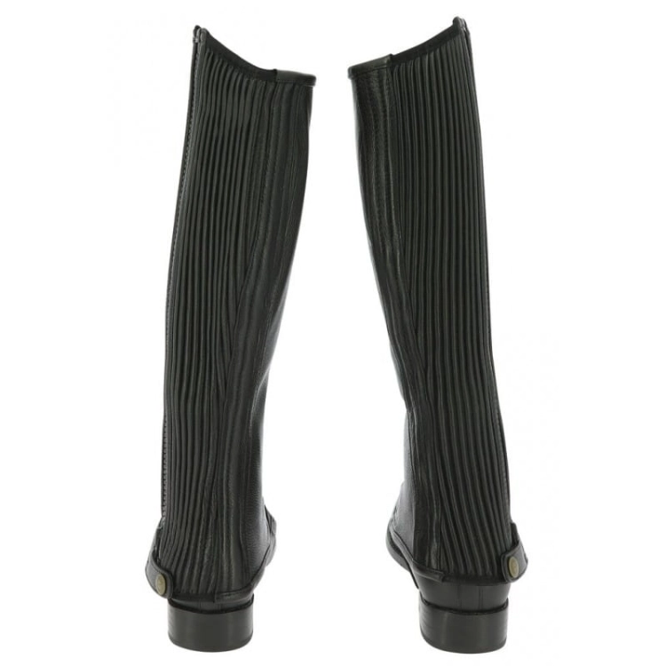 equitheme-leather-half-chaps (9).jpg