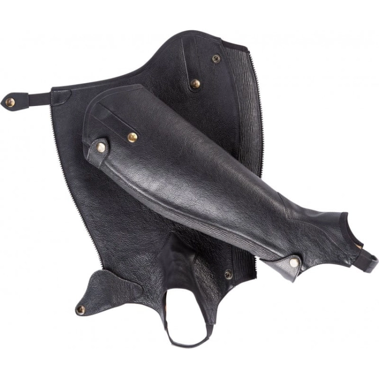 equitheme-primera-half-chaps-grained-leather (1).jpg