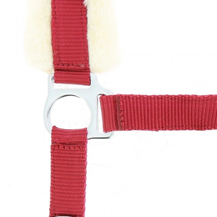 Norton-Kantar-Mouton-Synthetique-Doux