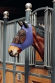 maska-przeciw-owadom-horze-soft-stretch