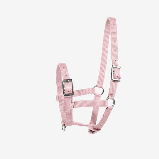 kantar-zrebiecy-horze-foal-halter