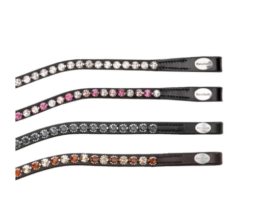 Naczolek-Kavalkade-Splendid