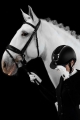 05126_QUANTINUM_CHIC_WV_1.jpg