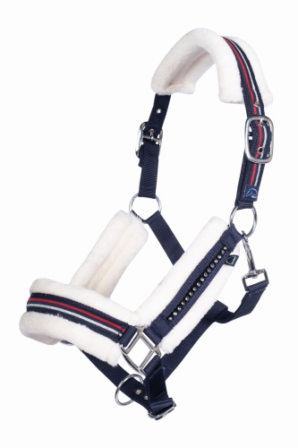 HKM-kantar-equine-sports-style