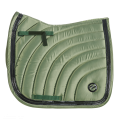 Czaprak-Busse-Shain