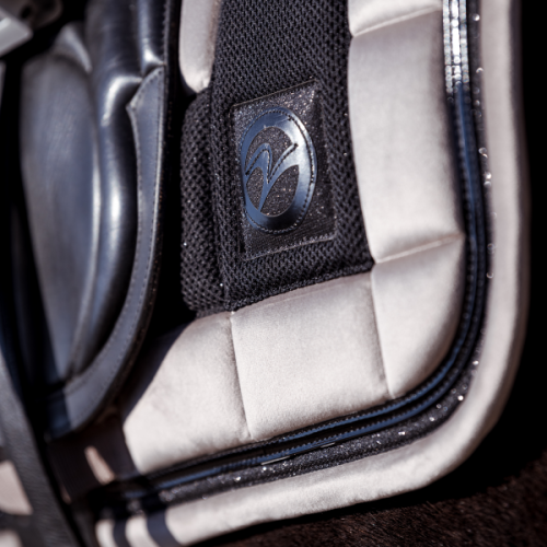 Czaprak-BUSSE-Simfony