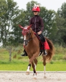 Czapka-swiateczna-na-kask-QHP-Christmas-4