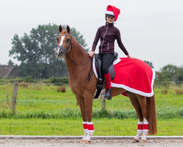 Czapka-swiateczna-na-kask-QHP-Chrismas-II