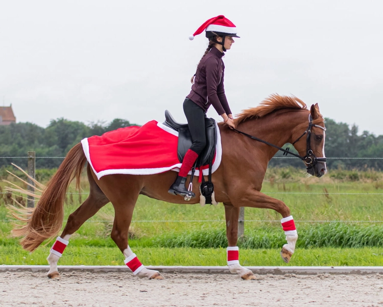 Czapka-swiateczna-na-kask-QHP-Chrismas-II